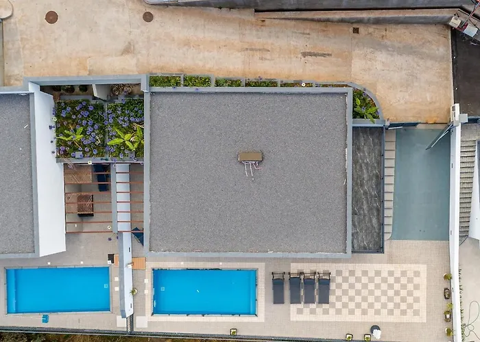 Ocean And Palms * Arco da Calheta (Madeira)